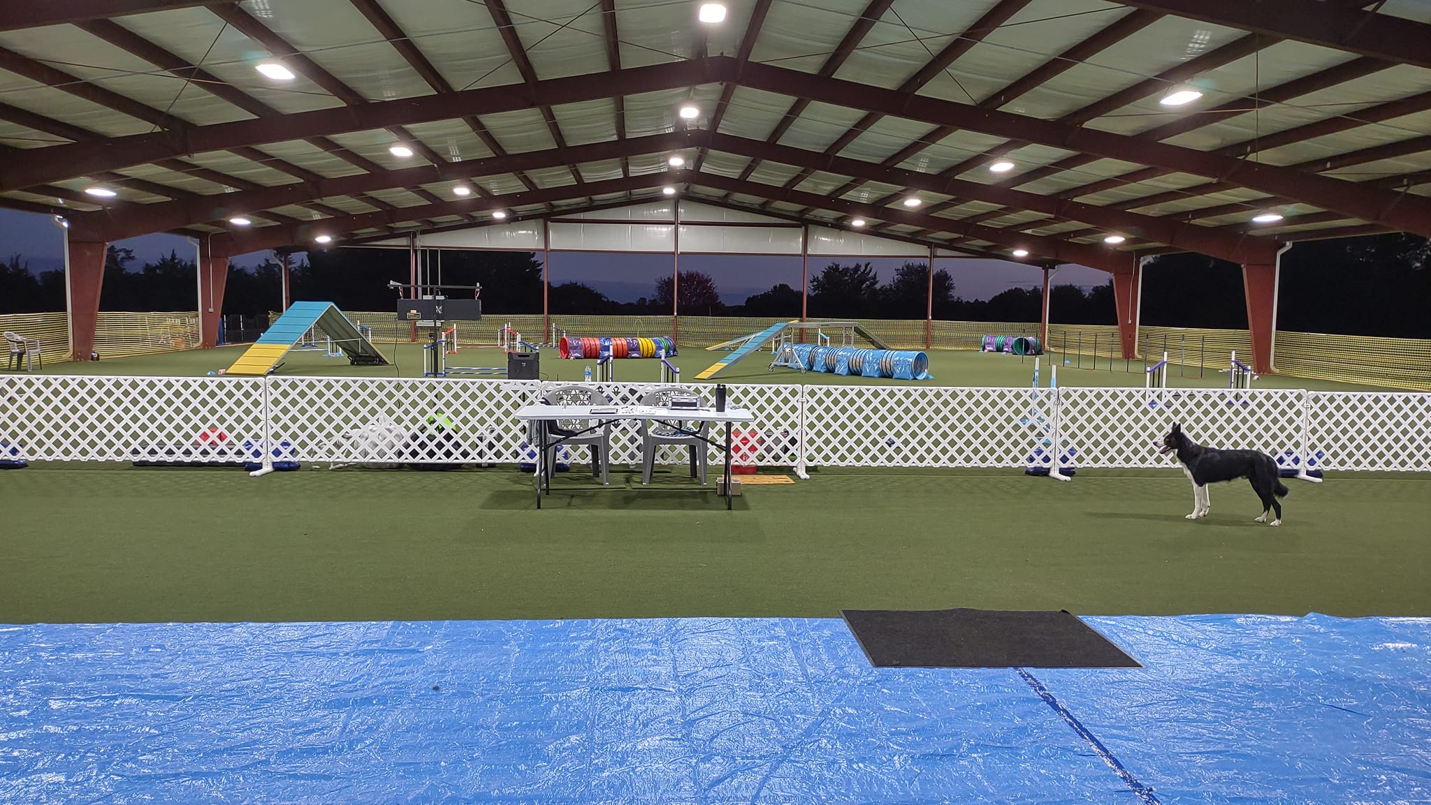 How big is a dog agility course? What's the size of a typical arena?