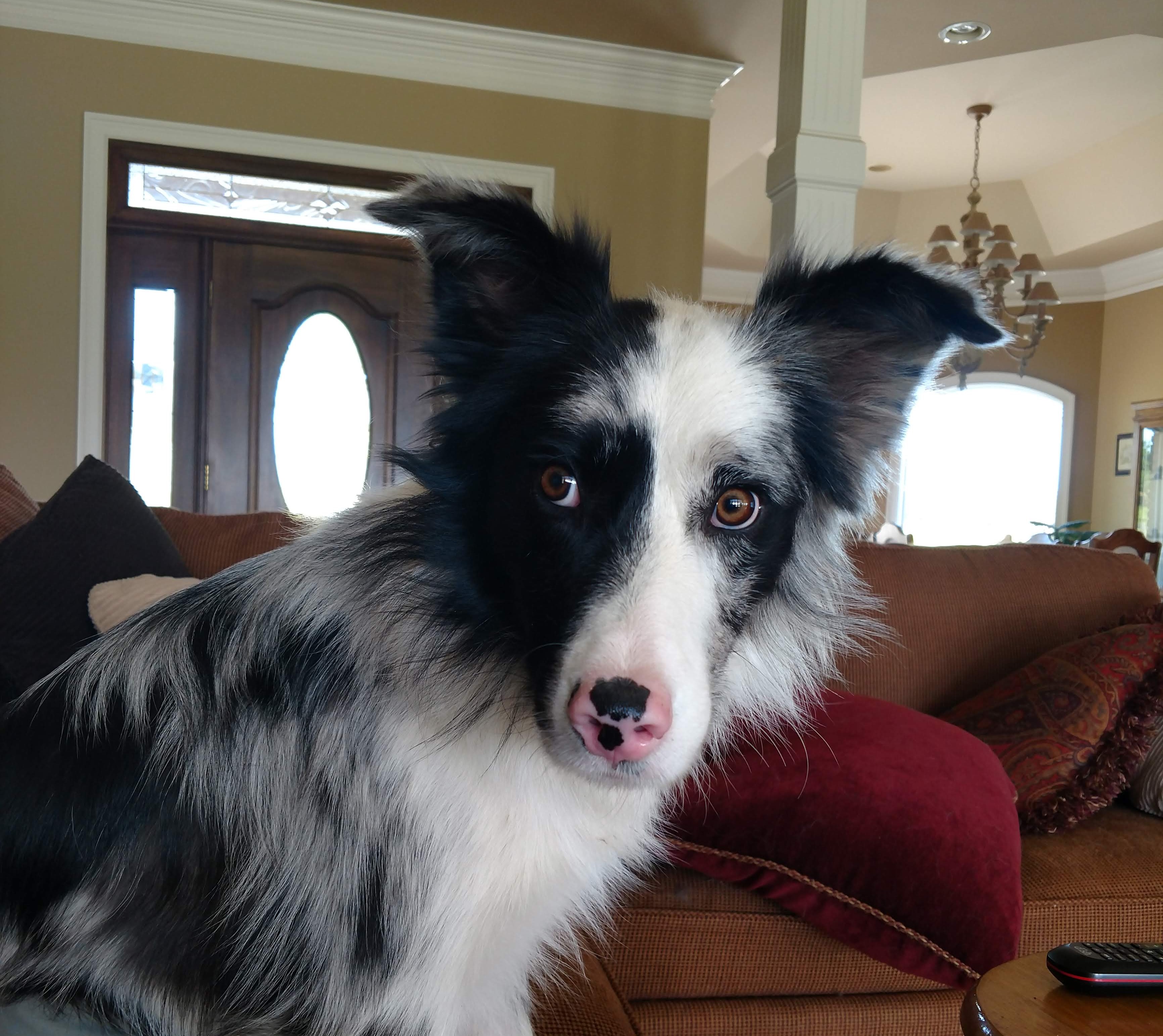 What did you say?